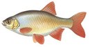 Зайкина избушка - иконка «рыбалка» в Оханске